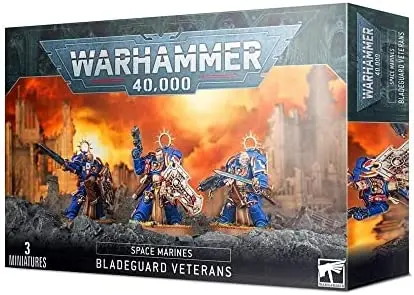 Space Marines: Bladeguard Veterans 1